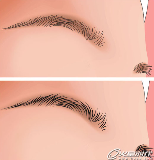 coreldraw鼠繪教程：繪制古典風格美女插畫_中國教程網