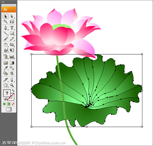 illustrator cs3鼠繪教程：繪制漂亮的矢量荷花圖_網頁設計