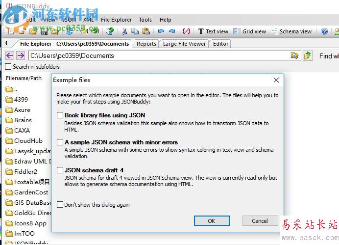 JSONBuddy(json編輯文本工具) 4.0.0.0 官方版