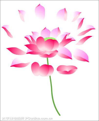 illustrator cs3鼠繪教程：繪制漂亮的矢量荷花圖_網頁設計