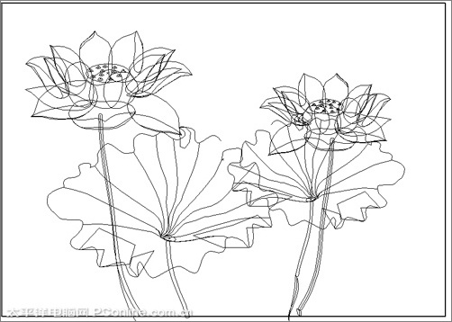 illustrator cs3鼠繪教程：繪制漂亮的矢量荷花圖_網頁設計