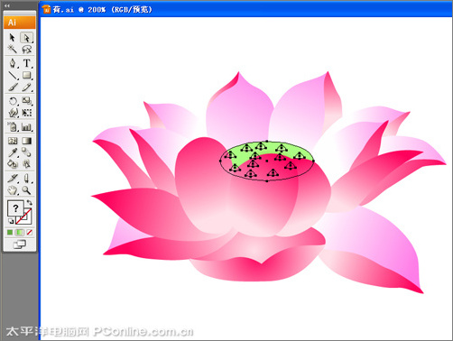 illustrator cs3鼠繪教程：繪制漂亮的矢量荷花圖_網頁設計